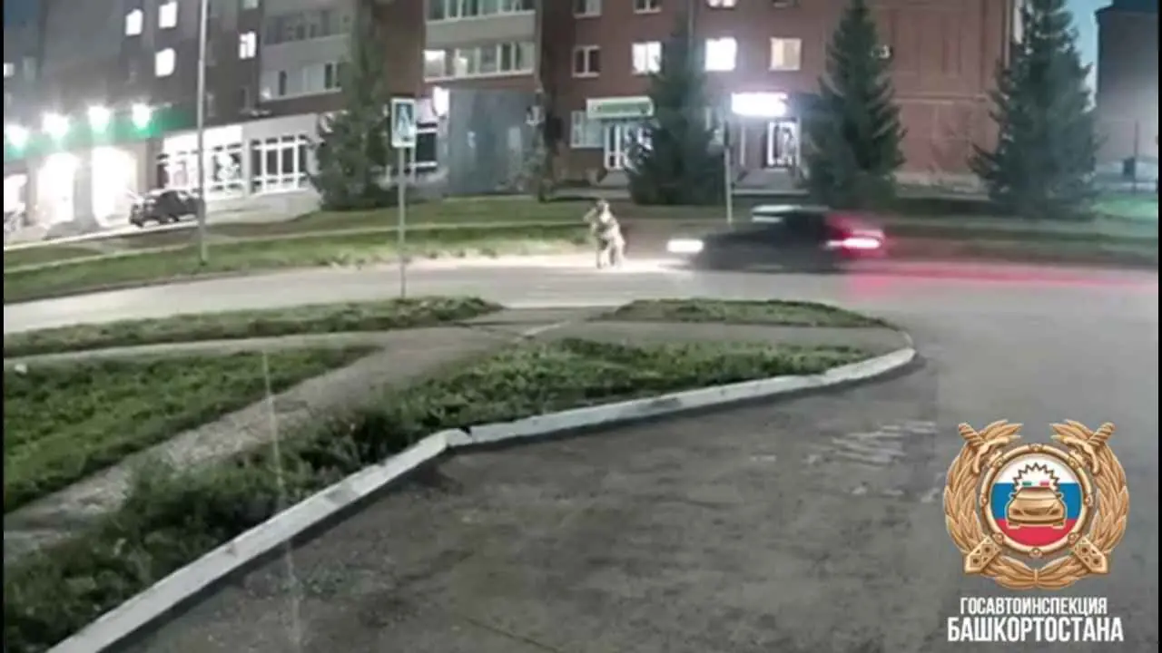 Девочка плакала и звала мать. 20-летний водитель сбил насмерть маму с ребенком на пешеходном переходе