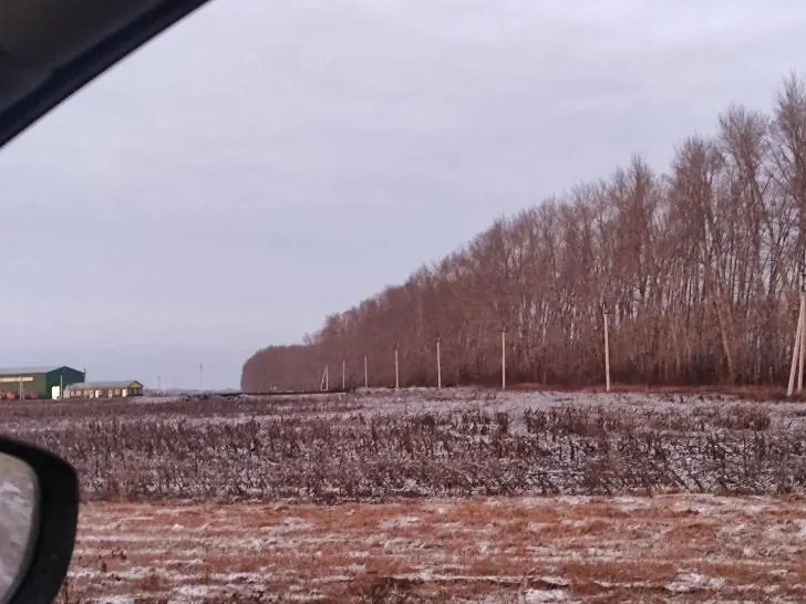 «Опозорились»: исчезло брошенное на полях в Башкирии заплесневевшее зерно