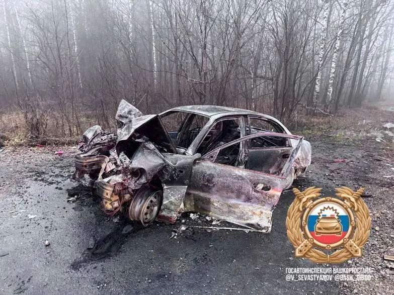 Жёсткое ДТП с возгоранием автомобиля произошло на трассе в Башкирии: двое в больнице