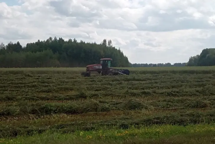 Уборка под угрозой: дожди мешают убрать 146 тысяч гектаров в Татарстане