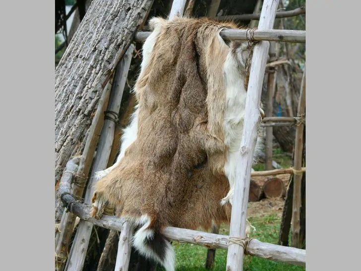 Коллекции зоологов в Башкирии будут ставить на государственный учет