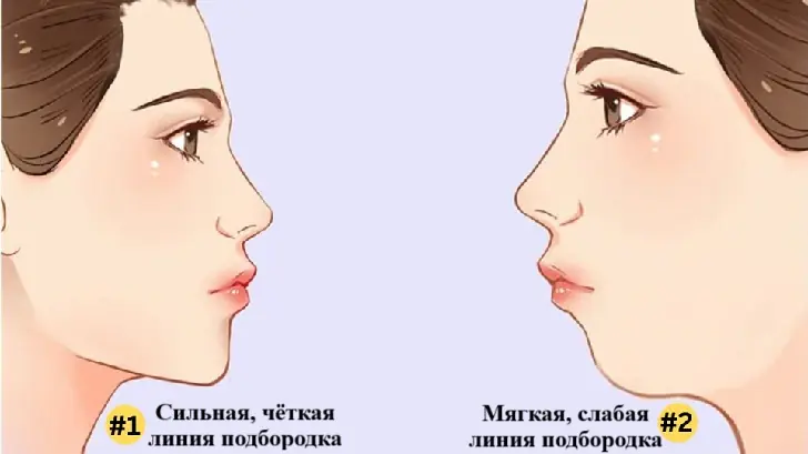Какой у вас подбородок — этот тест раскроет тайны вашей личности