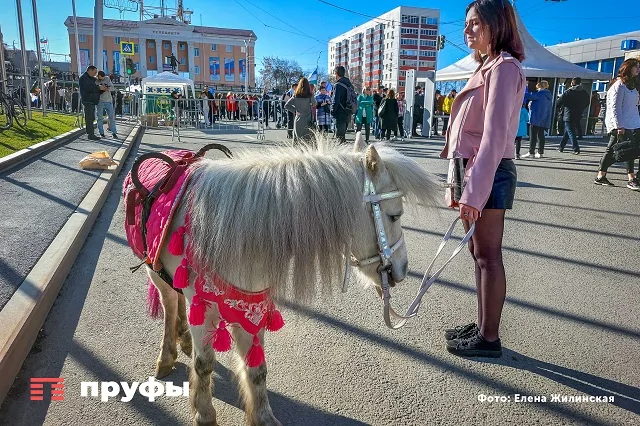 Zашкаливающий патриотизм, ярмарка и спецтехника. Фоторепортаж с концерта в Уфе в поддержку спецоперации