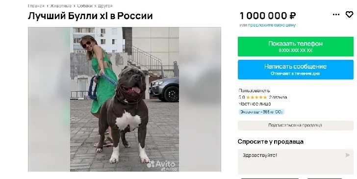 Милый носик, крепкое тело: в Уфе продают щенка за миллион рублей