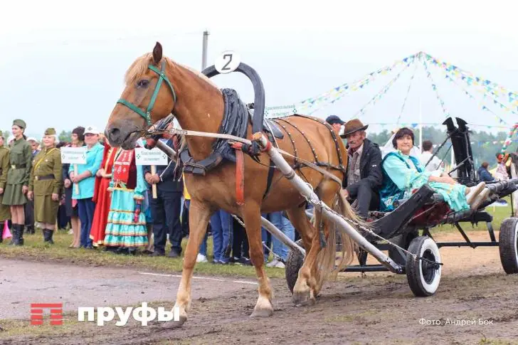 Сабантуи в Башкирии 2026: названы даты праздника в районах