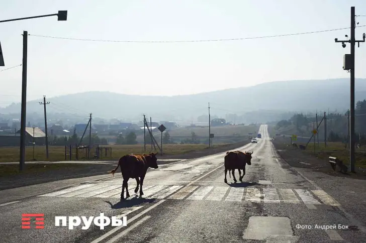 Две деревни Башкирии оказались в эпицентре опасного вируса − что происходит