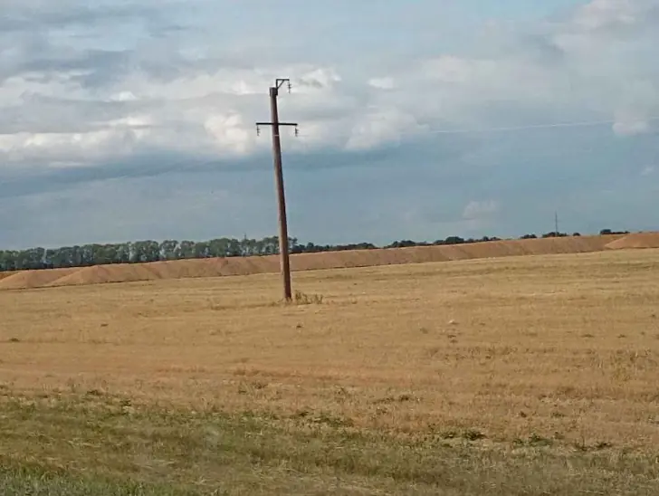 Фермеры не могут, а государство не хочет. Что происходит с зерновыми в России?