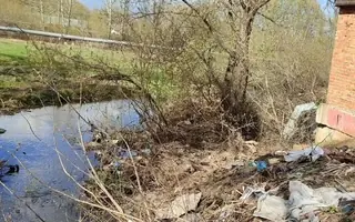 В Башкирии оштрафовали председателя гаражного кооператива из-за свалки у реки