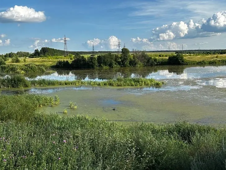 «Власти вообще забыли про это озеро»: страшно смотреть, что стало с одним из уютнейших водоёмов Уфы