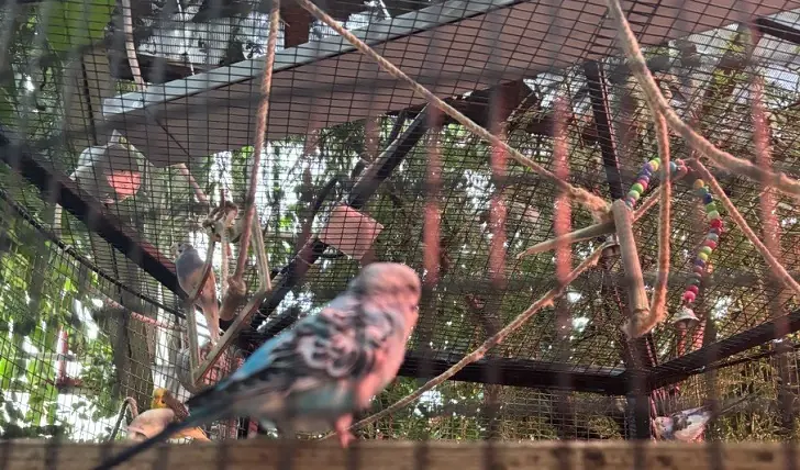 «Переместилась в прошлое!» жительница Башкирии возмущена состоянием ботанического сада в Уфе