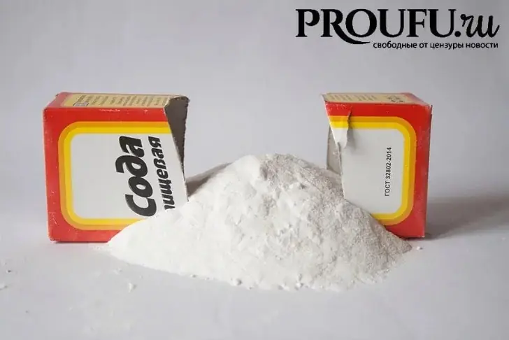 Путин исключил БСК из списка стратегических предприятий