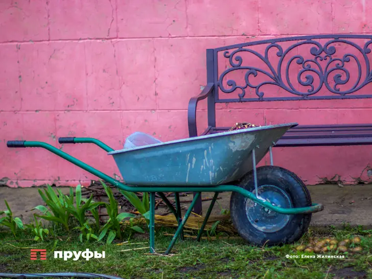 Химия не нужна: 5 эффективных способов убрать сорняки между плиткой