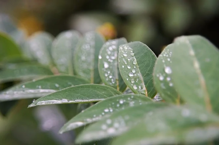 «Все лето будет дождливое»: народные приметы на 30 апреля 2024 года