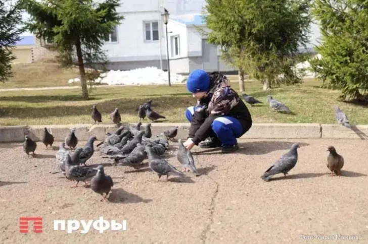 В Госдуму внесли законопроект о запрете увольнения мужчин с беременными женами