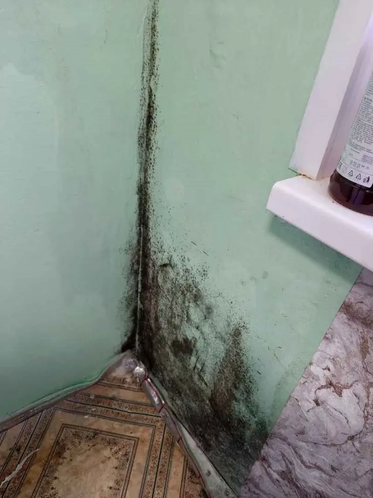 Платишь за содержание, а получаешь сырость и плесень? Жительница Уфы требует ответа у ЖЭУ