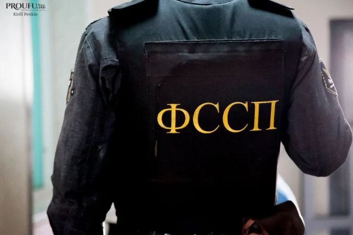 Башкирские приставы попросили людей пристроить около 100 животных из закрытого приюта