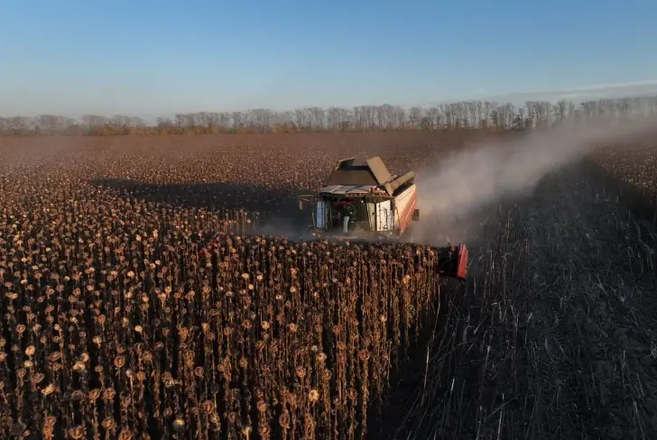 Золотой урожай Башкирии: аграрии собрали рекордные 750 тысяч тонн маслосемян
