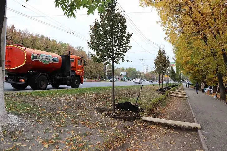 Почему чиновники Уфы закупают деревья-саженцы в три раза дороже, чем в Питере