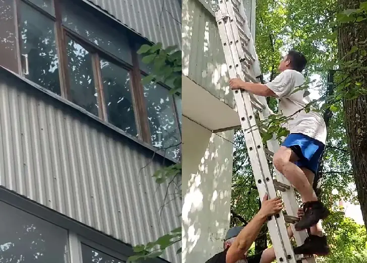 «Голос уже почти не слышен»: уфимцы мучали своего котенка – несколько дней он был заперт на балконе