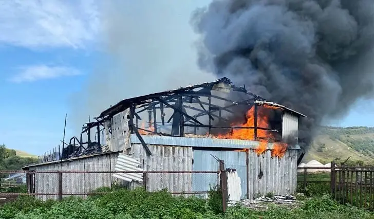 Огонь уничтожил конюшню — Башкирский фермер лишился зимних запасов