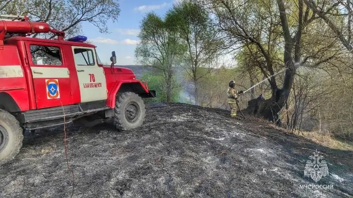 В Башкирии на День пожарной охраны сгорело 15 га сухой травы