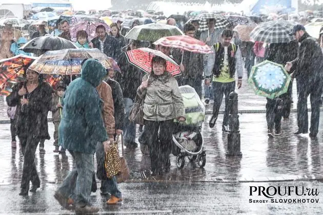 Климатолог предупредил об аномально тёплом ноябре. Чем опасна «погодная перезагрузка» для экономики и природы