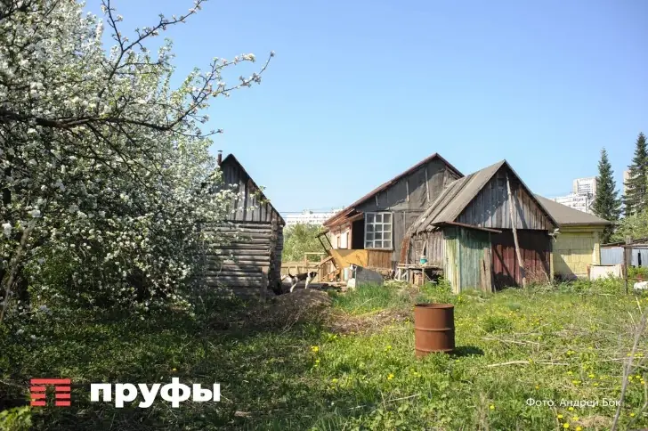 Мечта о деревенской старости: почему она часто превращается в кошмар