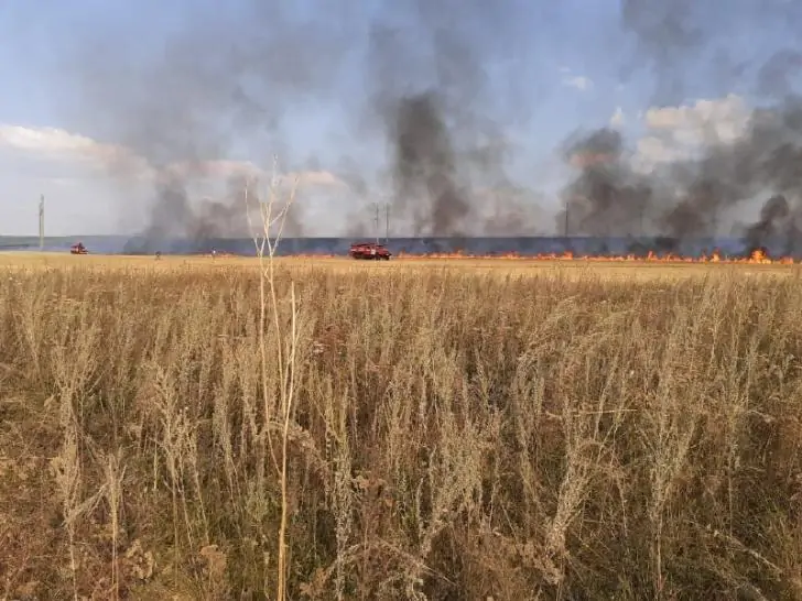 В Башкирии загорелось огромное поле