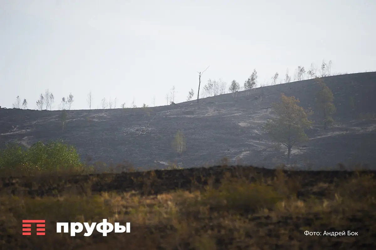 Хуснуллин заявил, что Россия готова выдавать землю бесплатно – подробности
