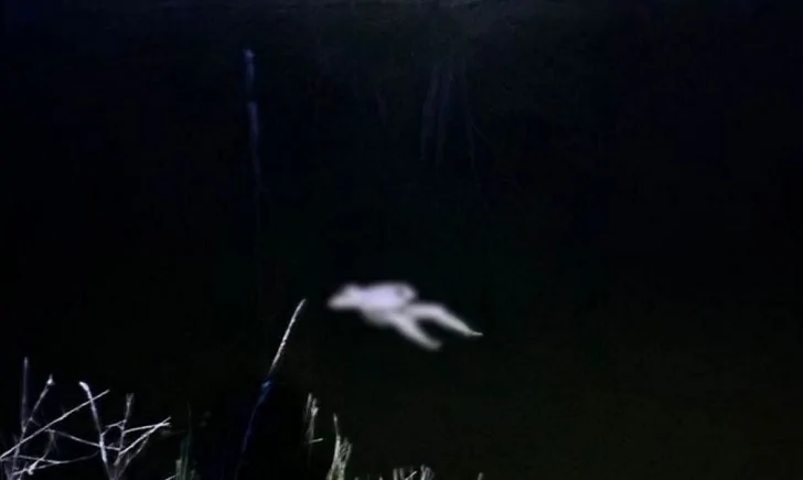 В Башкирии труп женщины в пруду обнаружили родные 