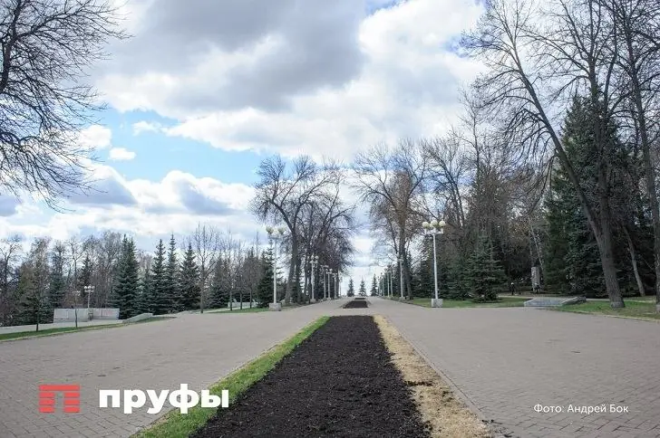 20 миллионов без борьбы: в Уфе подвели итоги торгов за парк Ленина