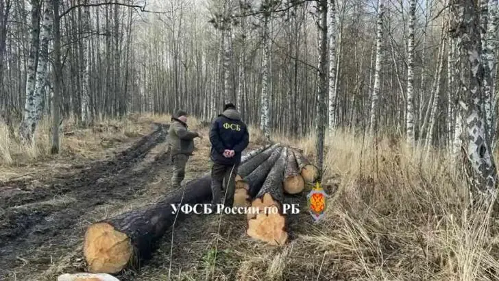 В  Башкирии силовики задержали трактор с бревнами на полмиллиона рублей