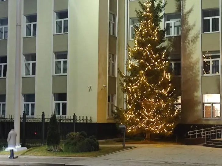 Импорт живых ёлок в России к Новому году упадет на треть