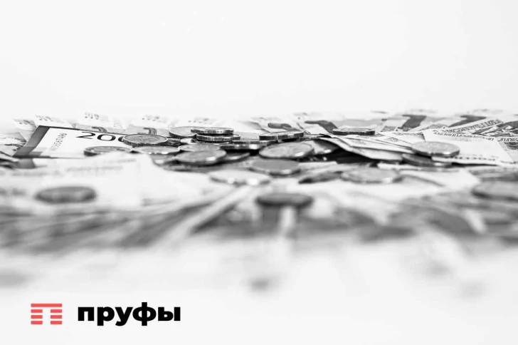 Власти установили прожиточный минимум в Башкирии на 2024 год