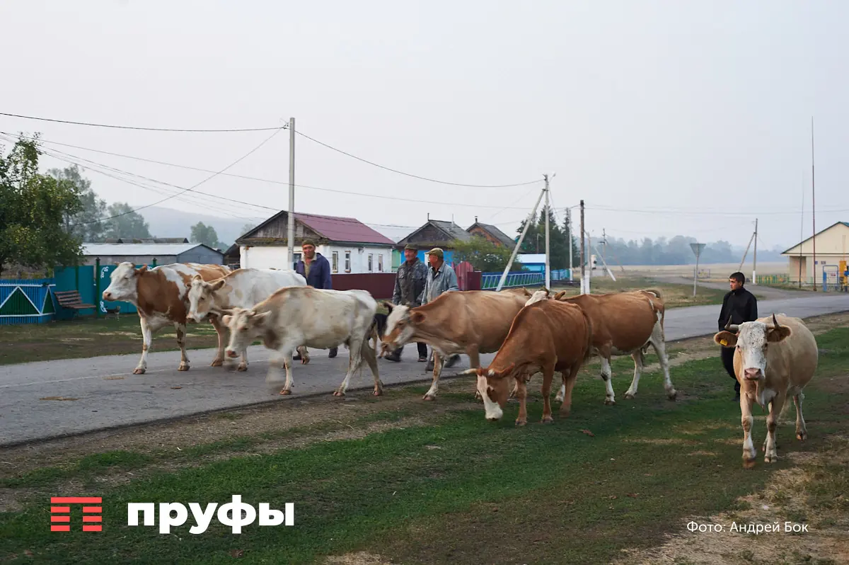 «Татарин-богач»: какая тайна скрыта в названии старинного села Татарбай