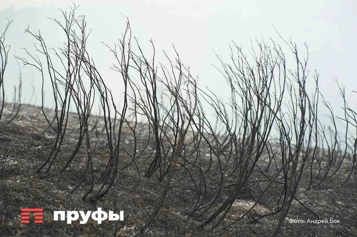 В глубинке Башкирии нашли аномальную деревню, которая изменилась до неузнаваемости после распада СССР