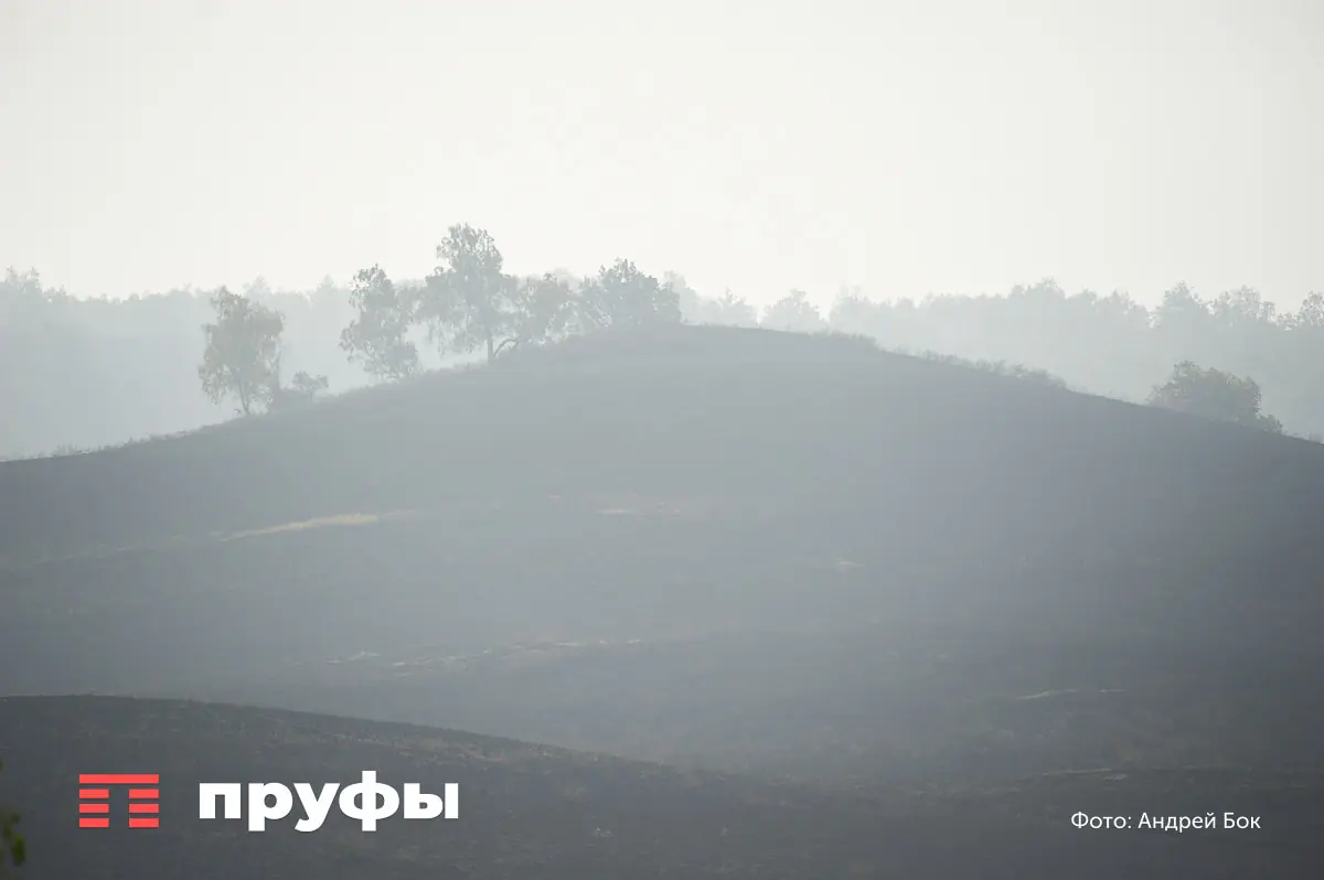 Жара в Башкирии – 5 способов, которые вас спасут от летнего зноя