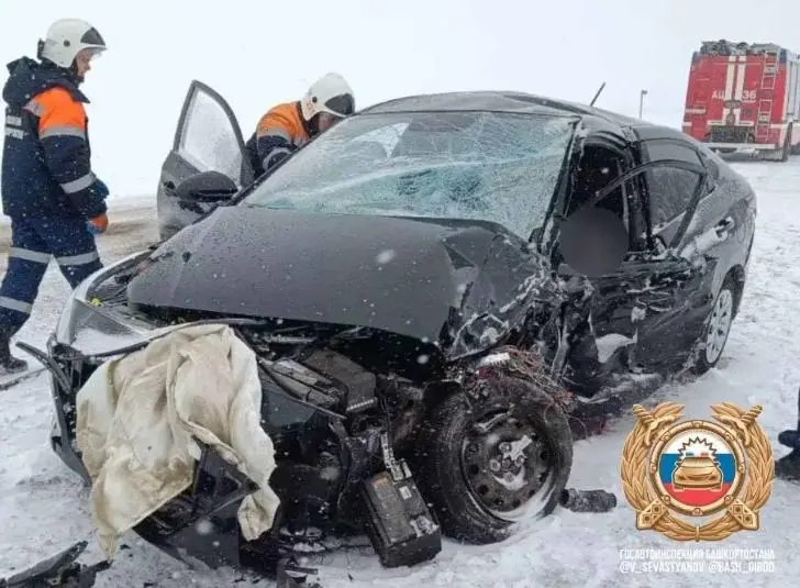 В Башкирии за день насмерть в ДТП разбились три человека