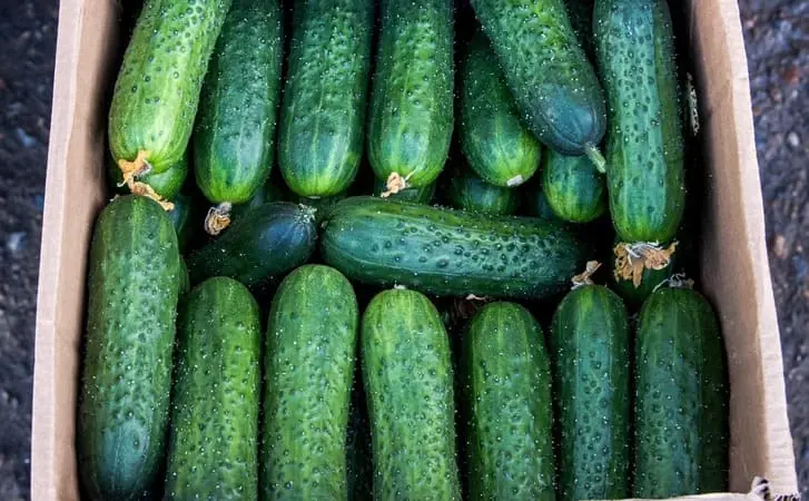 Цены поползли вверх: в Башкирии за неделю ощутимо подорожали овощи