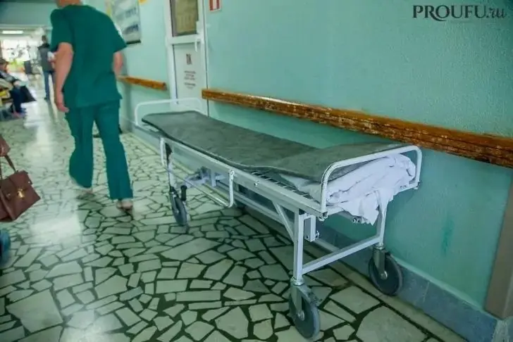 Новая пандемия? В России выявлена лихорадка чикунгунья