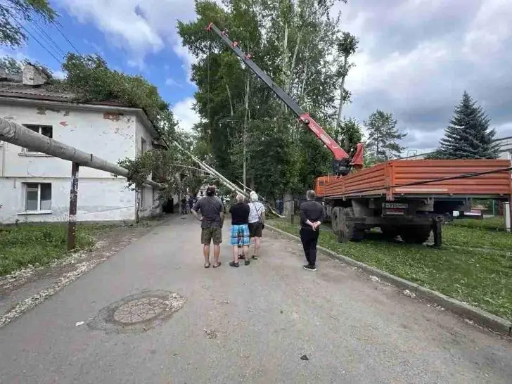 В мэрии Уфы назвали причины вырубки деревьев