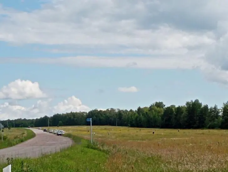 «Там грибки!» Почему я никогда не собираю клубнику после дождя