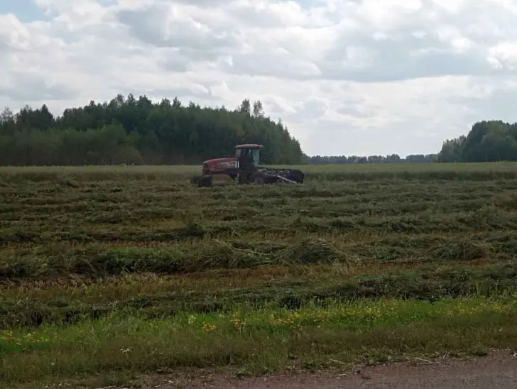 Фермеры негодуют: 11 районов Башкирии могут оказаться в режиме ЧС