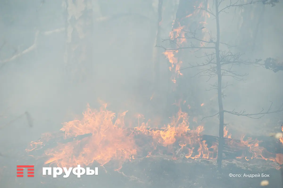 Сейчас в Башкирии горят леса в трех районах − под угрозой ещё 11 муниципалитетов