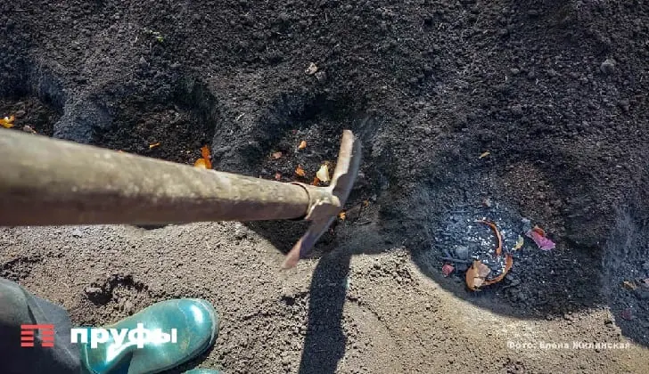 Выкапывать картошку в этот день нельзя! – урожай насмарку: народные приметы