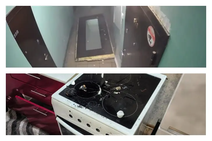 В Новосибирске собака включила плиту и спровоцировала хлопок баллончика