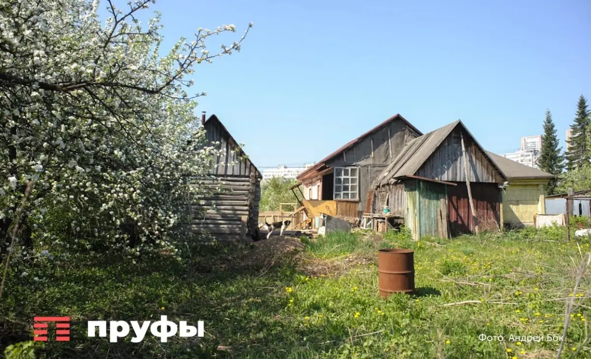 Кто еще может получить бесплатный земельный участок от государства, кроме многодетных 