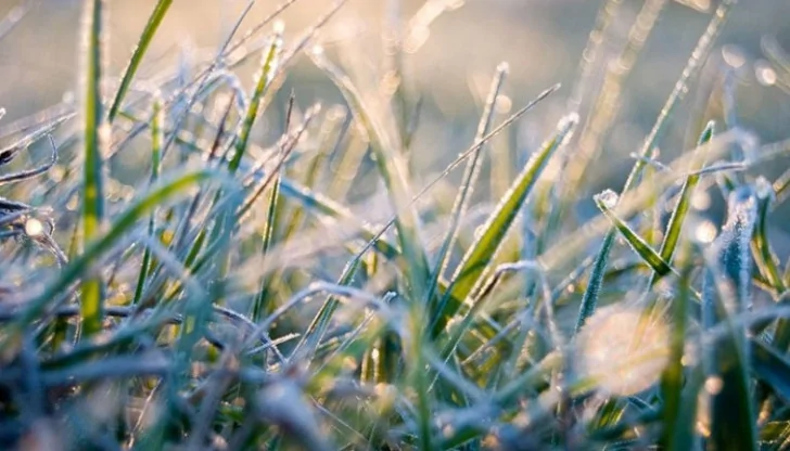 Синоптики предупреждают о заморозках до -8° в Башкирии