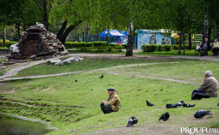 Закон о бесплатных услугах на дому инвалидам боевых действий примут в Башкирии