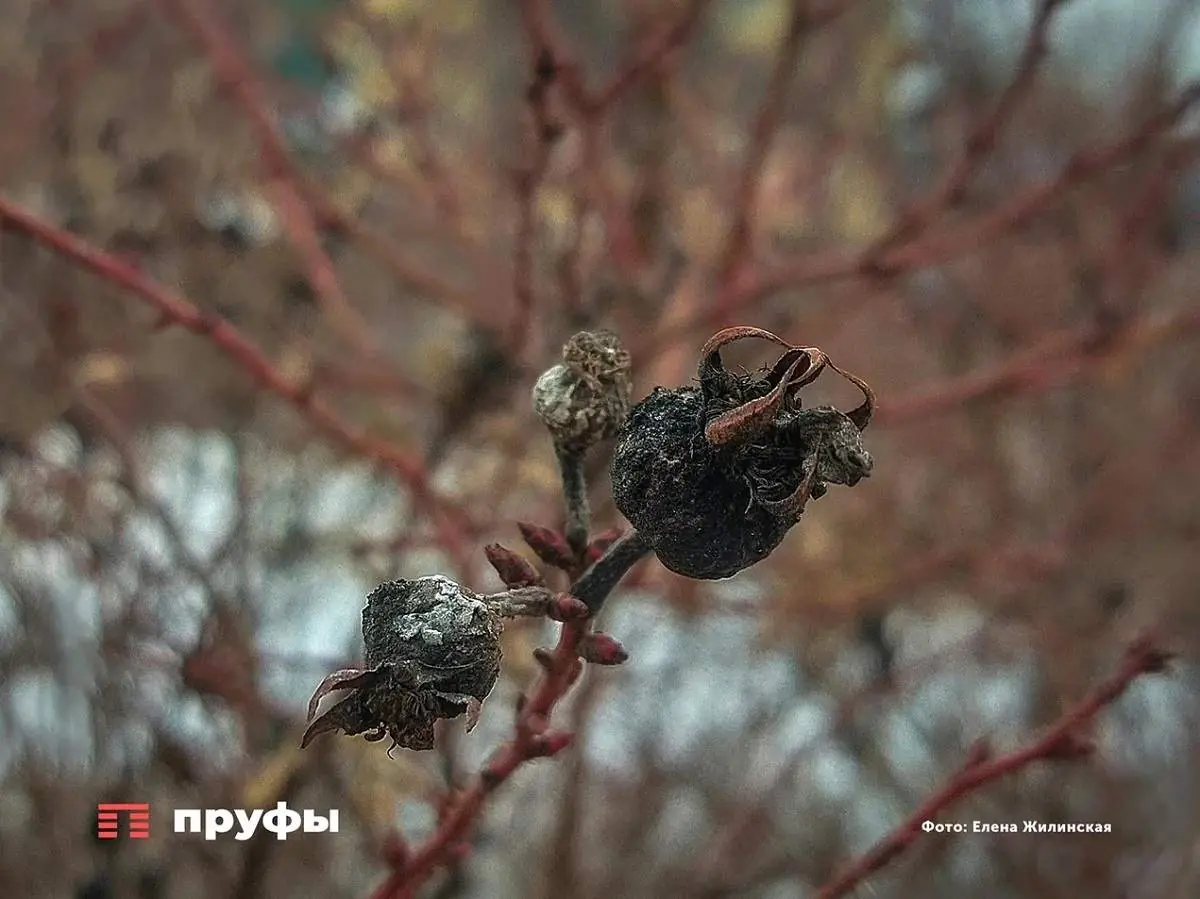 Внезапное похолодание ворвется в Башкирию